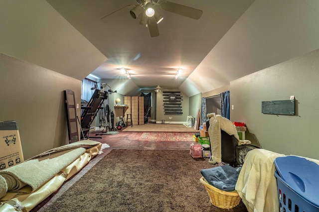 29560 204th Ave, Elizabeth Twp, MN 56537 - additional living space featuring carpet, ceiling fan, lofted ceiling, and baseboards