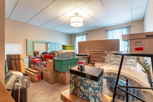 29560 204th Ave, Elizabeth Twp, MN 56537 - view of storage room