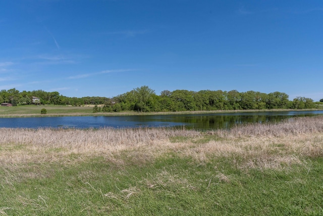29560 204th Ave, Elizabeth Twp, MN 56537 - water view featuring a heavily wooded area