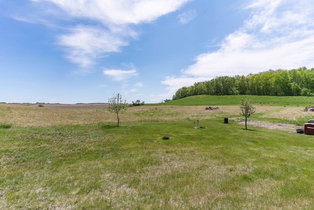 29560 204th Ave, Elizabeth Twp, MN 56537 - view of yard with a rural view