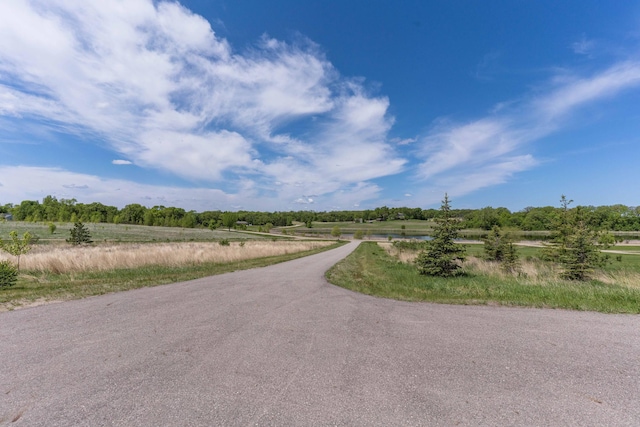 29560 204th Ave, Elizabeth Twp, MN 56537 - view of asphalt street featuring a rural view