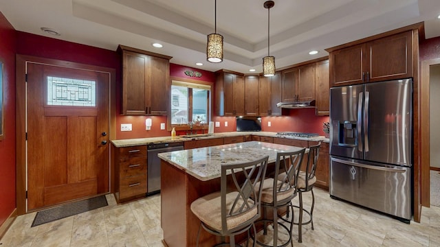 380 7th St SE, Chatfield, MN 55923 - kitchen featuring stainless steel appliances, a sink, plenty of natural light, a raised ceiling, and recessed lighting