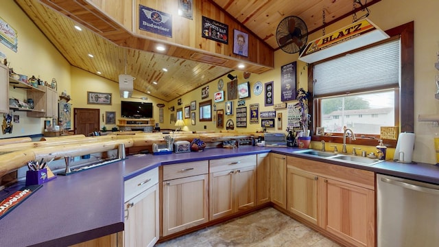 380 7th St SE, Chatfield, MN 55923 - kitchen featuring dishwasher, a sink, wooden ceiling, a peninsula, and open floor plan