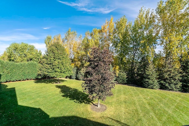 130 Bergamot Dr, Medina, MN 55340 - photo 19