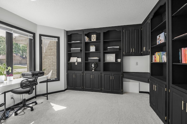 14994 Crane St NW, Andover, MN 55304 - office area featuring light colored carpet and a textured ceiling