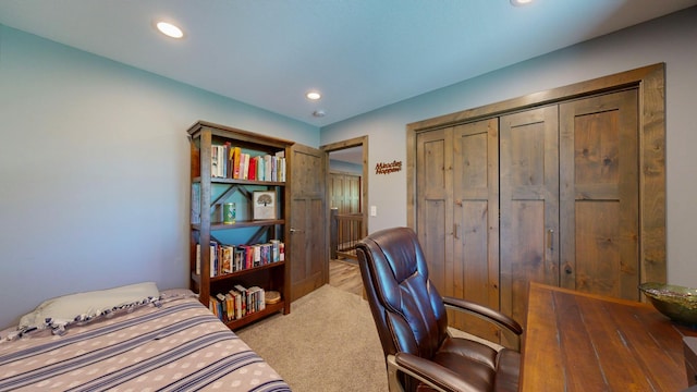 29572 Morgan Rd, Wykoff, MN 55990 - bedroom with recessed lighting and carpet flooring