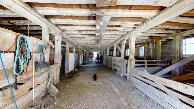 29572 Morgan Rd, Wykoff, MN 55990 - view of stable