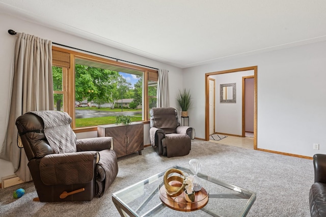 621 Irving Ave NW, Elk River, MN 55330 - living room featuring carpet flooring and baseboards