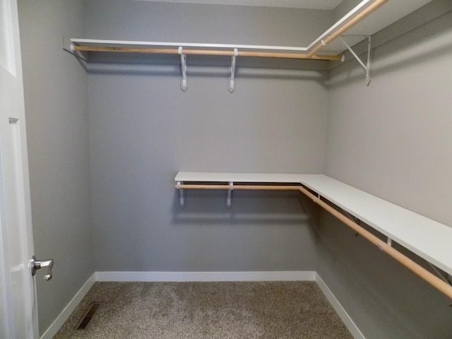 1173 Lone Stone Ct SE, Chatfield, MN 55923 - spacious closet with carpet floors