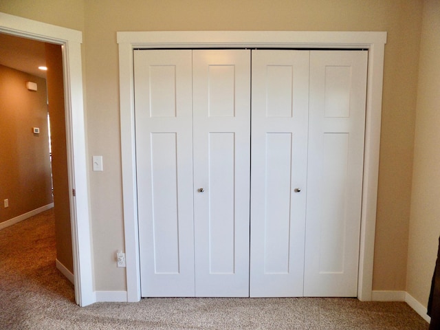 1173 Lone Stone Ct SE, Chatfield, MN 55923 - view of closet