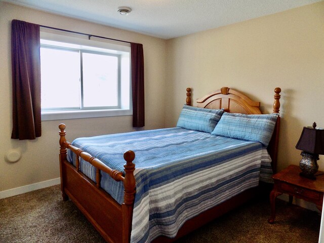 1173 Lone Stone Ct SE, Chatfield, MN 55923 - carpeted bedroom featuring baseboards