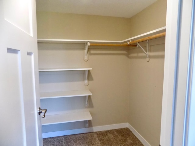 1173 Lone Stone Ct SE, Chatfield, MN 55923 - spacious closet with carpet floors