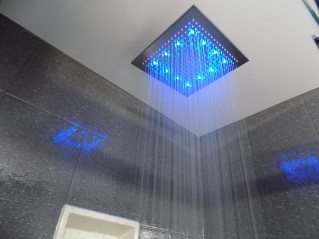 1173 Lone Stone Ct SE, Chatfield, MN 55923 - detailed view of a tile shower
