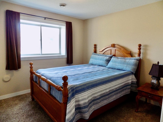 1173 Lone Stone Ct SE, Chatfield, MN 55923 - carpeted bedroom with baseboards