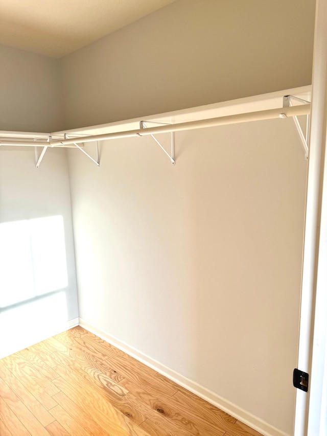 628 20th Ave S, Minneapolis, MN 55454 - walk in closet with light wood-style flooring