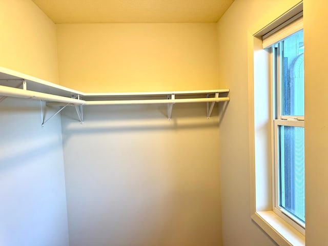 628 20th Ave S, Minneapolis, MN 55454 - view of walk in closet