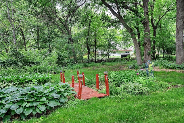 18520 29th Ave N, Plymouth, MN 55447 - view of yard
