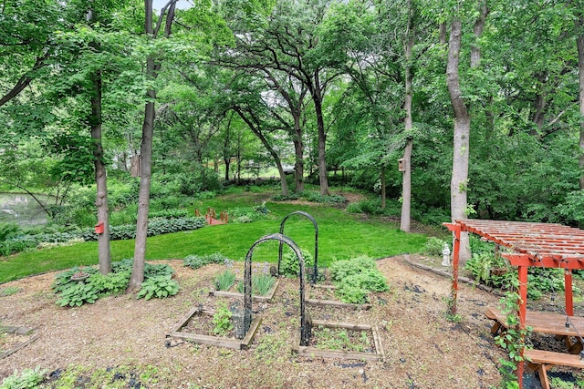 18520 29th Ave N, Plymouth, MN 55447 - view of green lawn with a vegetable garden