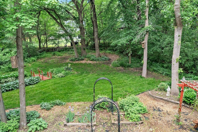 18520 29th Ave N, Plymouth, MN 55447 - view of grassy yard with a vegetable garden