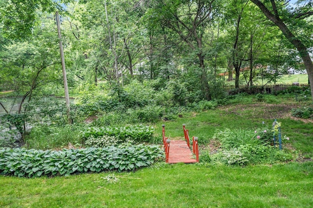 18520 29th Ave N, Plymouth, MN 55447 - view of yard