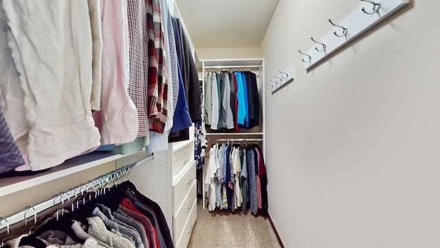 2762 134th St W, Rosemount, MN 55068 - walk in closet with carpet