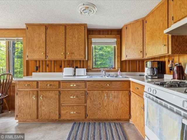 1403 County 5 NW, Hackensack, MN 56452 - kitchen featuring white gas stove, plenty of natural light, a textured ceiling, light countertops, and a sink