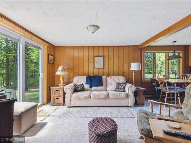 1403 County 5 NW, Hackensack, MN 56452 - living room featuring carpet and wood walls
