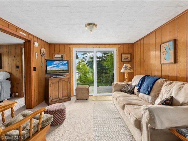 1403 County 5 NW, Hackensack, MN 56452 - living area with carpet floors and wood walls