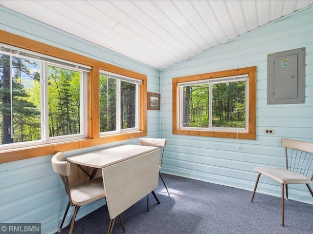 1403 County 5 NW, Hackensack, MN 56452 - sunroom / solarium featuring electric panel and vaulted ceiling