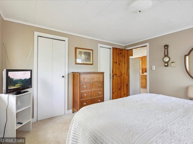 1403 County 5 NW, Hackensack, MN 56452 - bedroom featuring multiple closets, ornamental molding, and carpet flooring