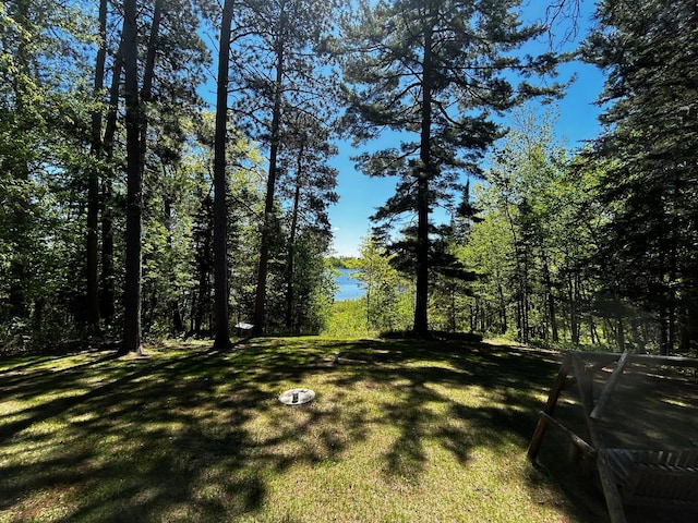 1403 County 5 NW, Hackensack, MN 56452 - view of grassy yard