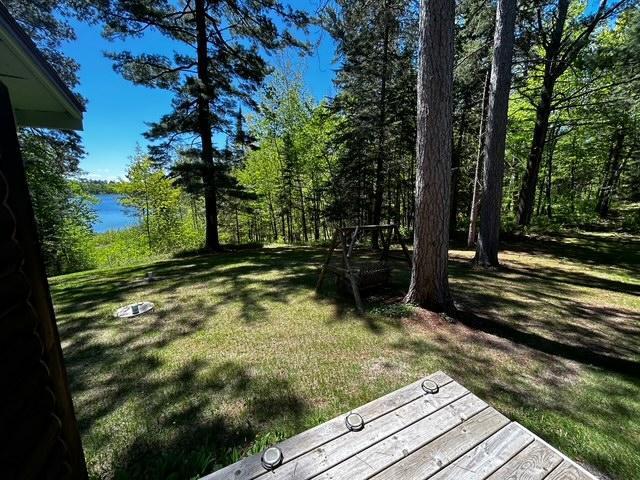 1403 County 5 NW, Hackensack, MN 56452 - view of green lawn with a water view