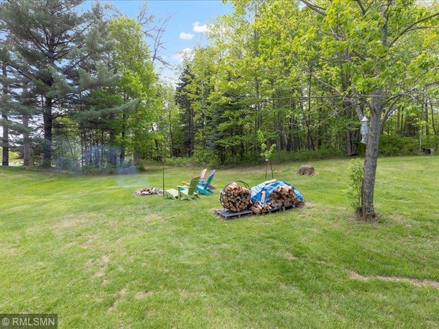 1403 County 5 NW, Hackensack, MN 56452 - view of green lawn