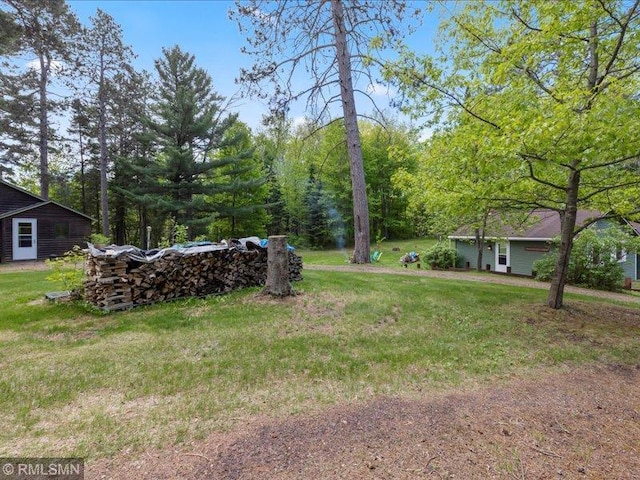 1403 County 5 NW, Hackensack, MN 56452 - view of grassy yard