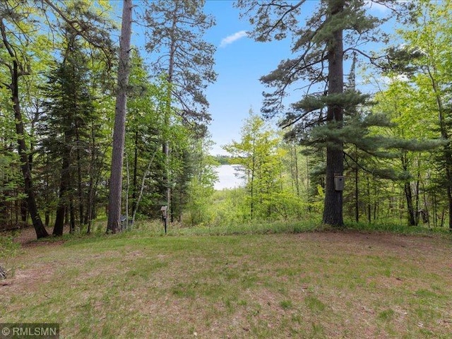 1403 County 5 NW, Hackensack, MN 56452 - view of wooded area