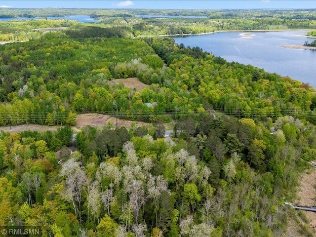 1403 County 5 NW, Hackensack, MN 56452 - bird's eye view of a heavily wooded area and a nearby body of water