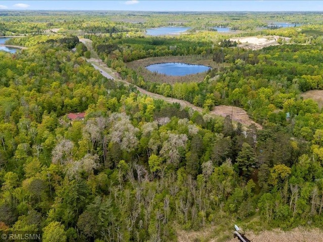 1403 County 5 NW, Hackensack, MN 56452 - aerial view of property's location featuring a nearby body of water and a heavily wooded area