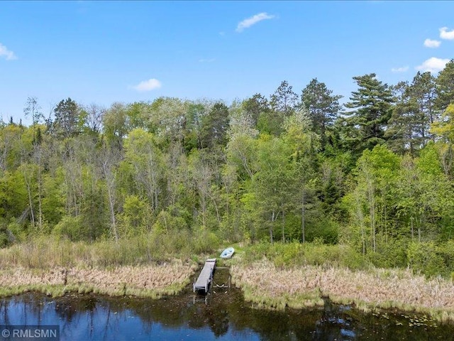 1403 County 5 NW, Hackensack, MN 56452 - water view with a heavily wooded area