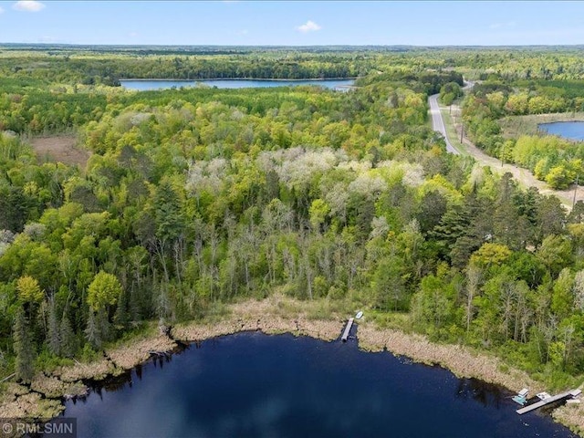 1403 County 5 NW, Hackensack, MN 56452 - aerial view of property and surrounding area with a forest and a nearby body of water