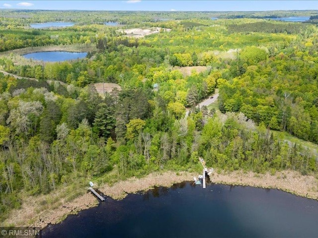 1403 County 5 NW, Hackensack, MN 56452 - aerial overview of property's location with a forest and a large body of water