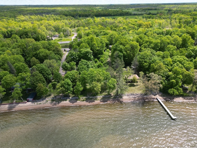 16199 328th Ave, Lakeside Twp, MN 56342