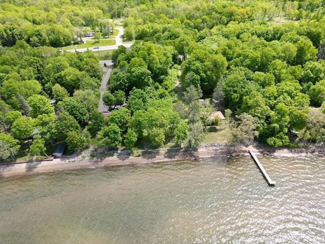 16199 328th Ave, Lakeside Twp, MN 56342