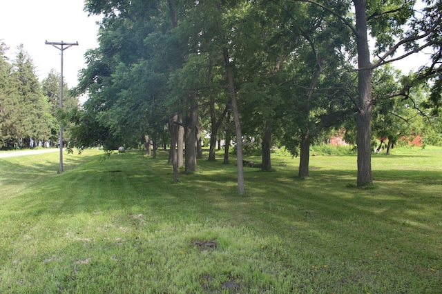 19062 600th Ave, Rose Creek, MN 55970 - photo 39