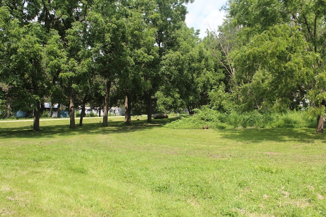 19062 600th Ave, Rose Creek, MN 55970 - photo 41