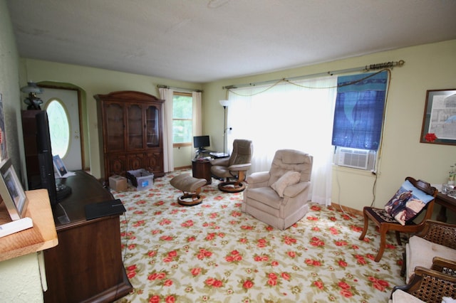 19062 600th Ave, Rose Creek, MN 55970 - photo 5