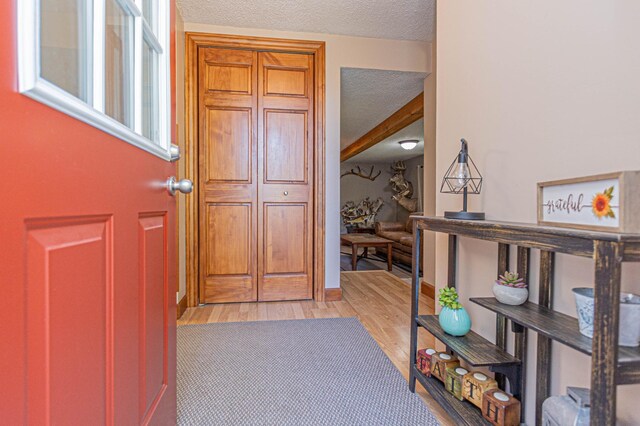 114 Iowa Ave, Hoffman, MN 56339 - foyer entrance with a textured ceiling and light wood-style flooring