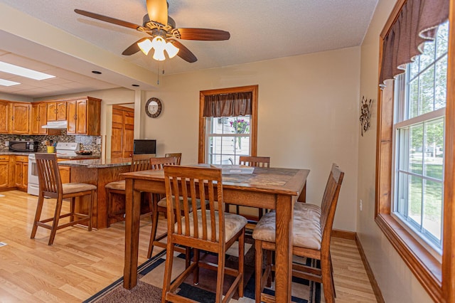 114 Iowa Ave, Hoffman, MN 56339 - dining space featuring plenty of natural light, light wood finished floors, and a ceiling fan