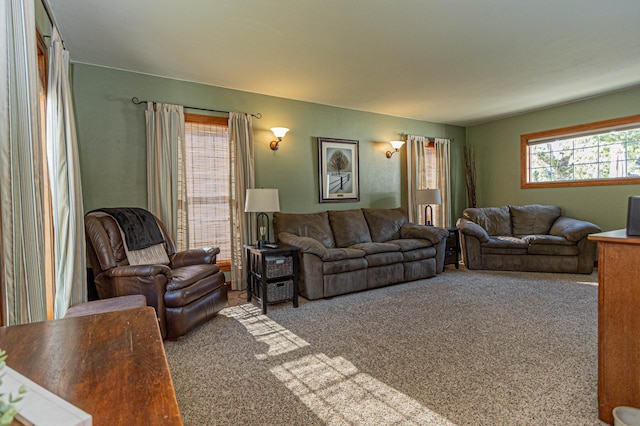 114 Iowa Ave, Hoffman, MN 56339 - view of carpeted living room