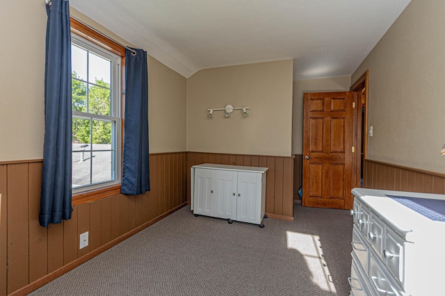 114 Iowa Ave, Hoffman, MN 56339 - carpeted empty room with a wainscoted wall and wooden walls