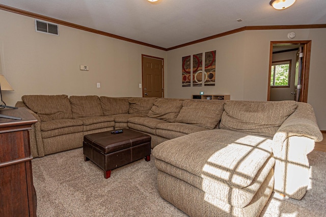 114 Iowa Ave, Hoffman, MN 56339 - carpeted living room with crown molding